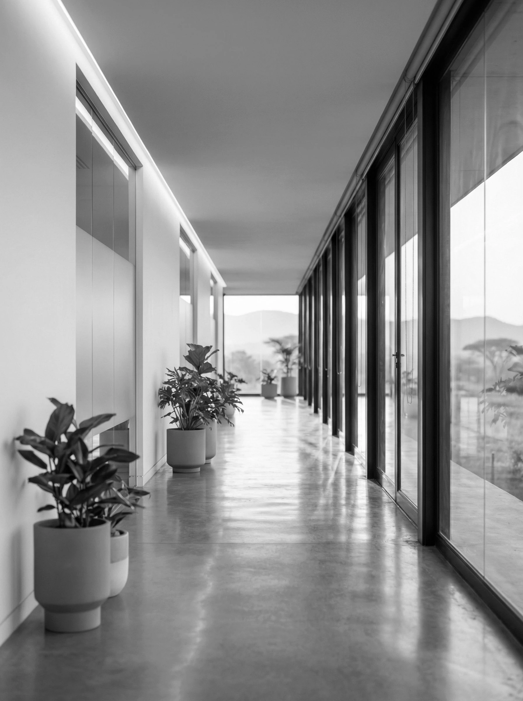 Modern pharmaceutical office environment